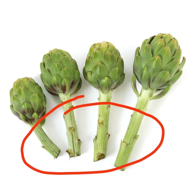 朝鲜蓟统货