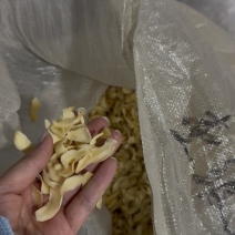龙牙百合干片大三王