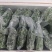 桑芽菜每包250克