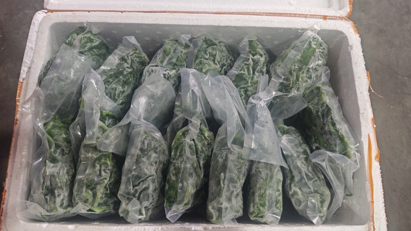 桑芽菜每包250克