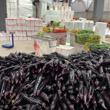 茄子精品长茄