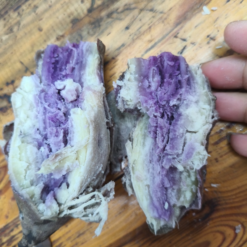 一点红番薯一点红、爆皮王、板栗薯，只有这三个品种。没有西