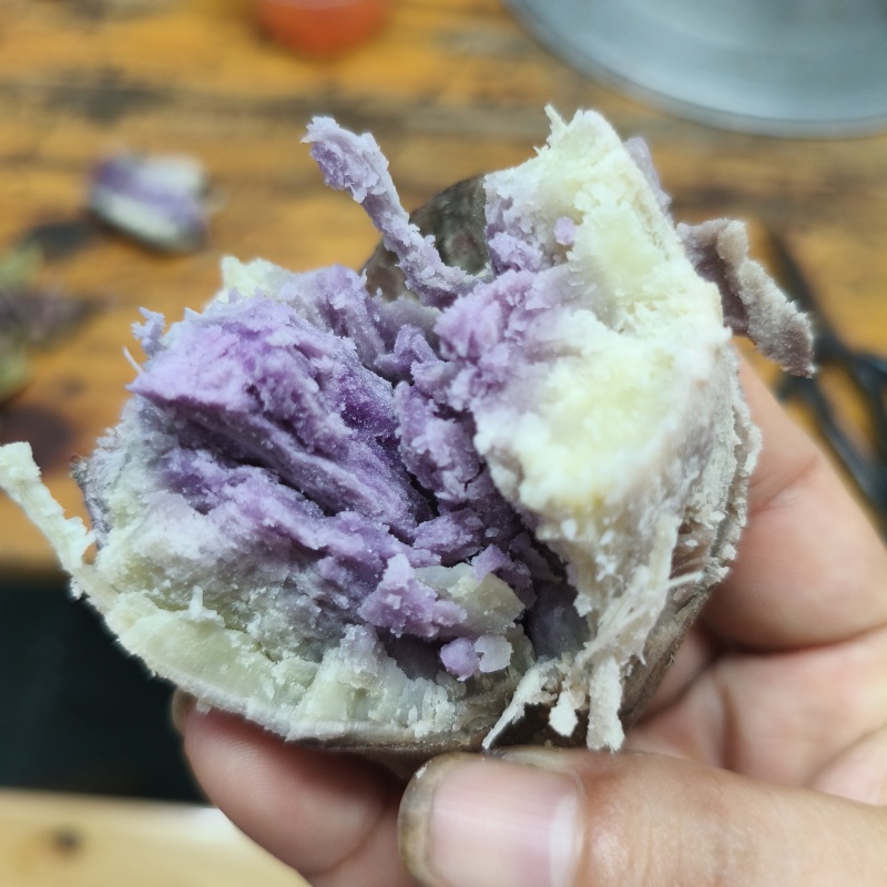 一点红番薯一点红、爆皮王、板栗薯，只有这三个品种。没有西