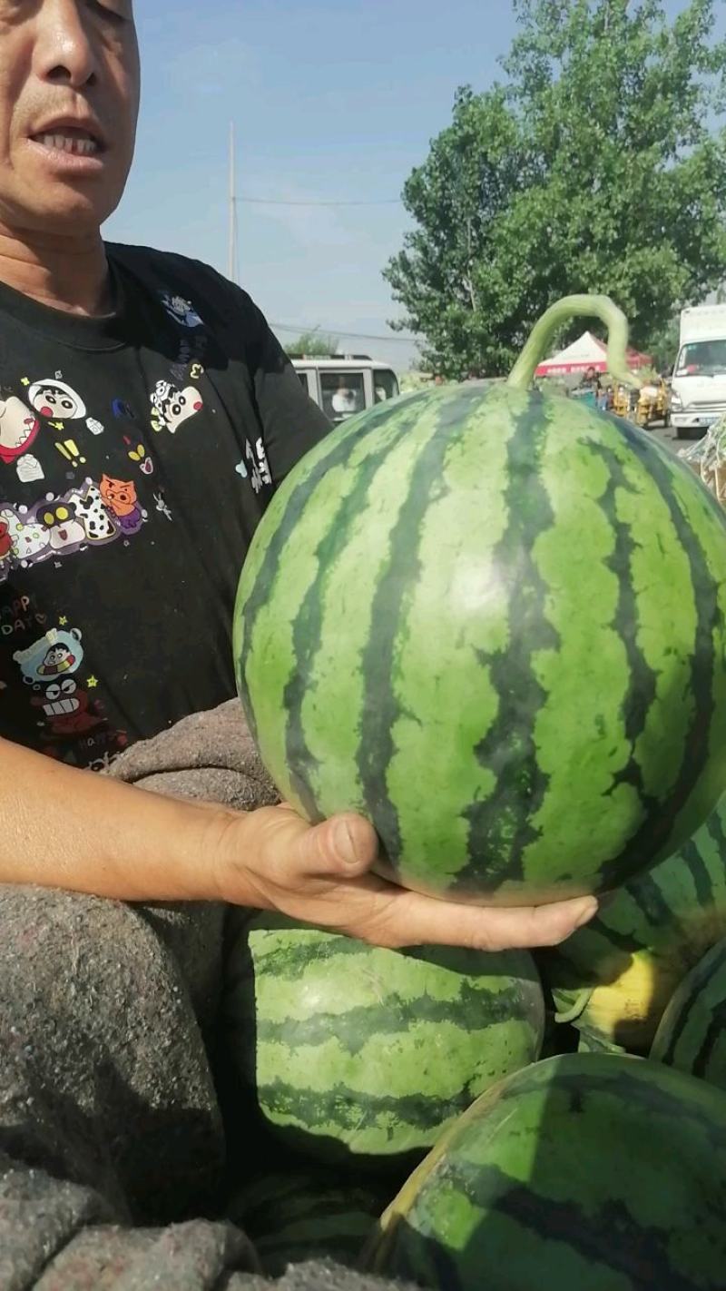 美都西瓜5斤起步瓜