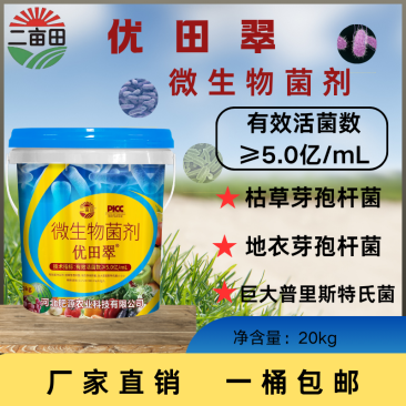 微生物菌剂粉剂,高钙型,沟施穴施撒施,改良土壤保水保肥,