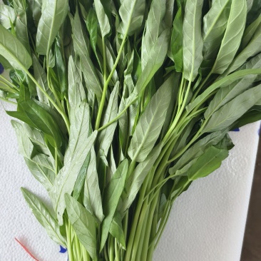 空心菜一斤左右一把