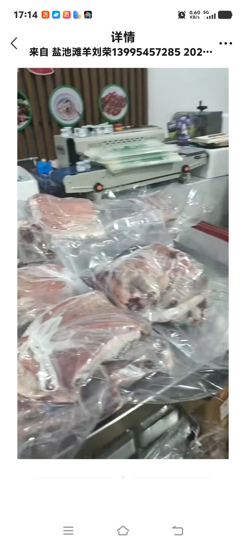 羊肉整只白条