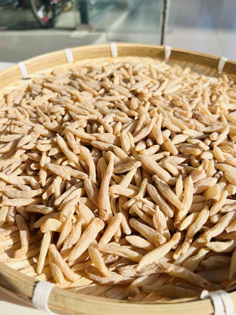 麦冬三级、二级、一级、特级、超特级，等级齐全