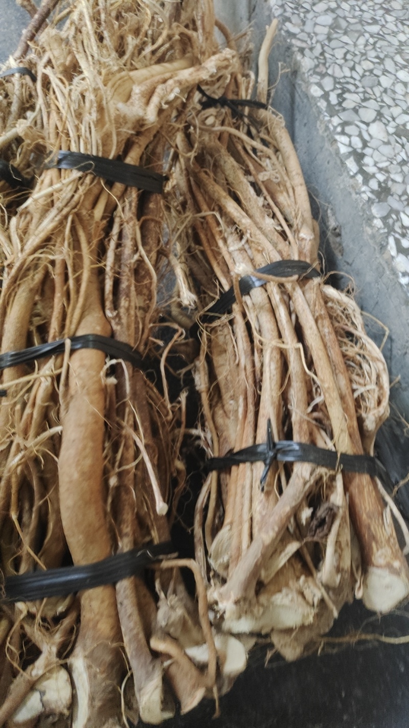 五指毛桃干货