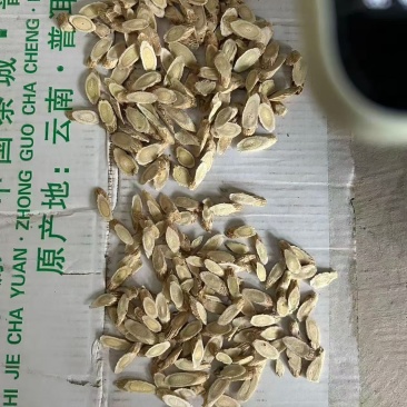 黄芪黄芪片