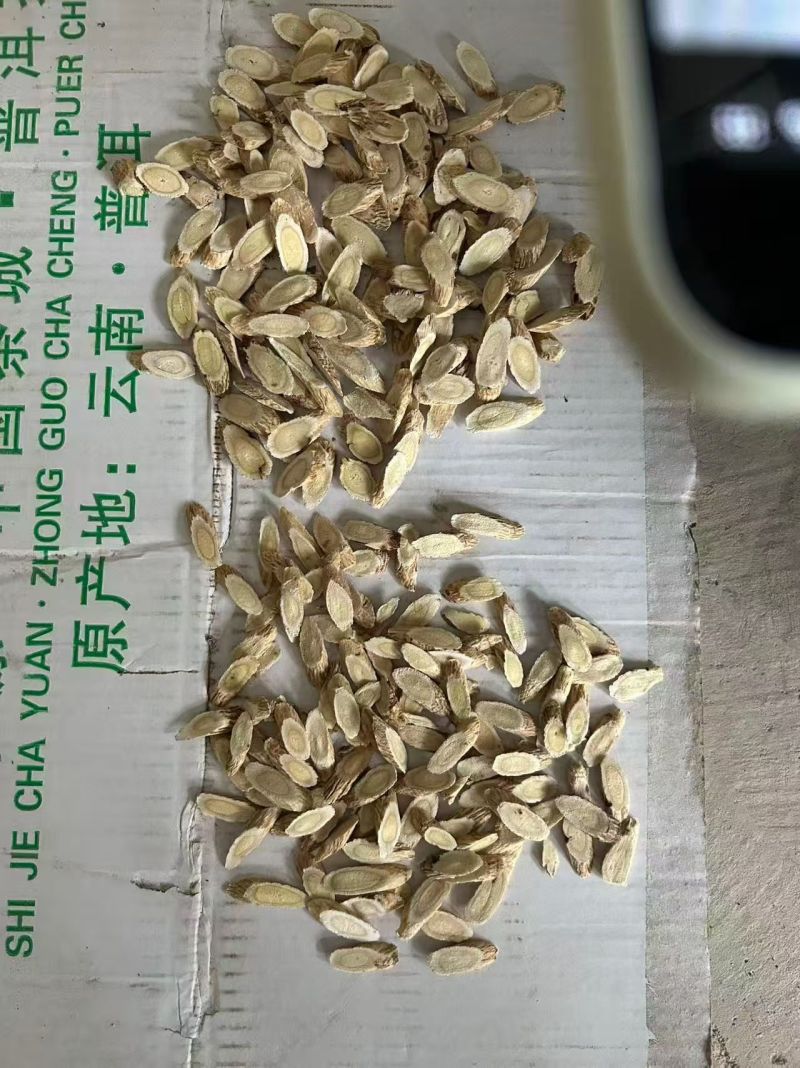 黄芪黄芪片
