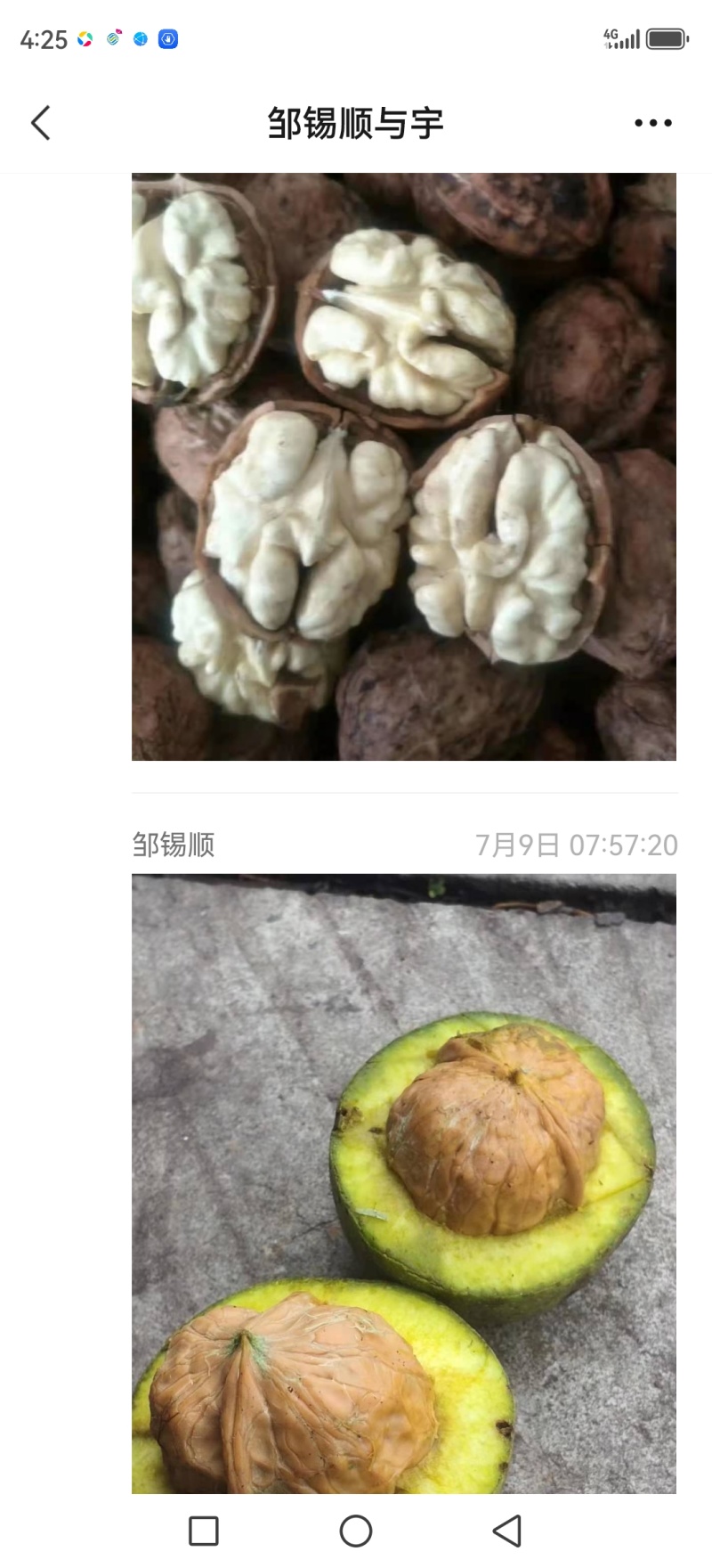 青皮核桃50mm以上（实测46-47mm）
