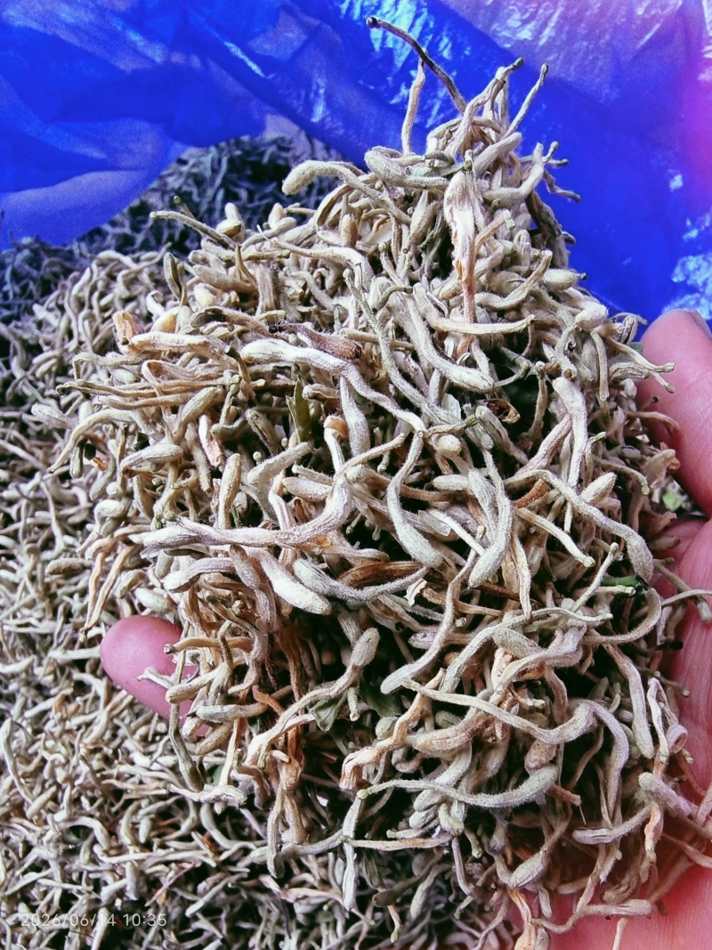 金银花（干花）花蕾多