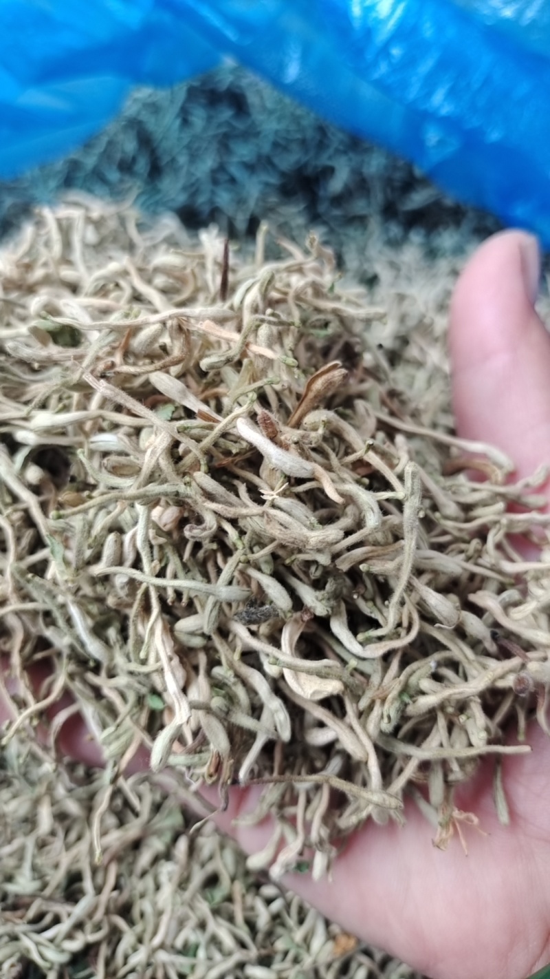 金银花（干花）花蕾多