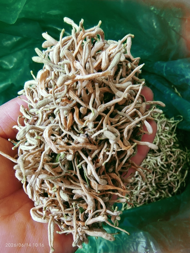 金银花（干花）花蕾多