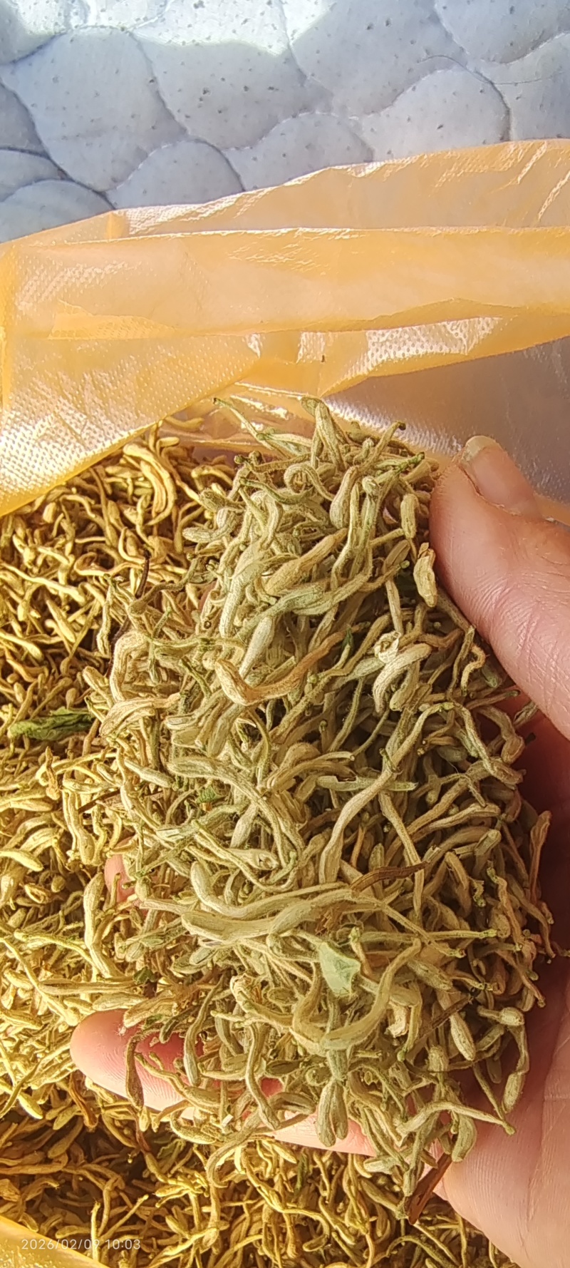 金银花（干花）花蕾多