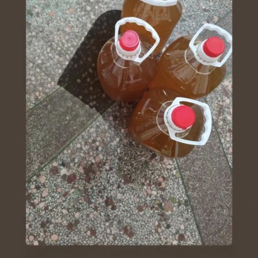山茶油