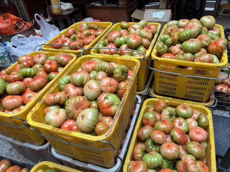 西红柿1840马蹄番茄