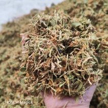 金银花金银花统货