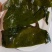 盐渍海带盐渍海带头，高中低一级，适合麻辣烫火锅店小批发