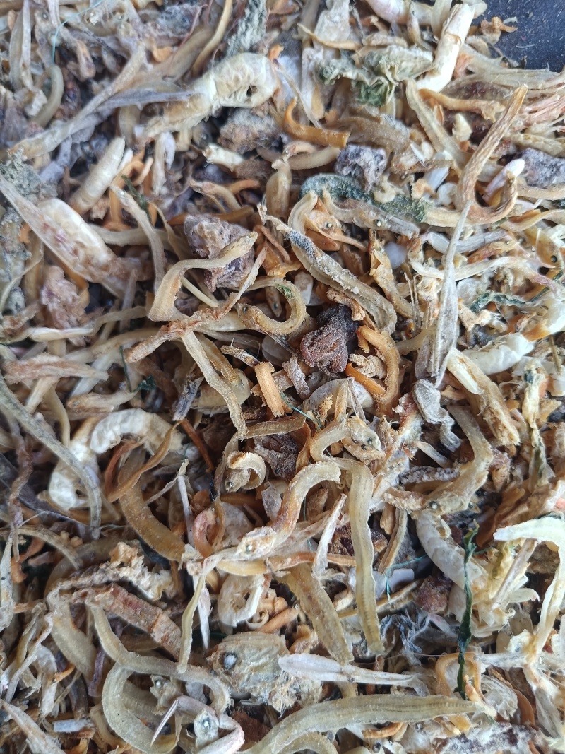 鱼干鱼干