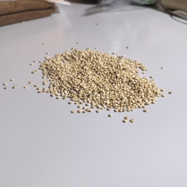 藜麦白藜麦,25公斤/50斤一袋,不含物流费
