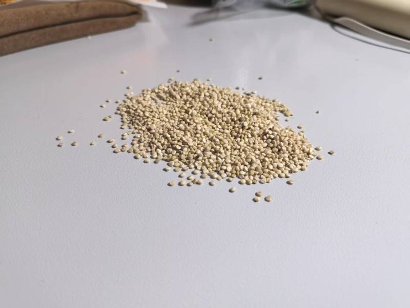 藜麦白藜麦,25公斤/50斤一袋,不含物流费