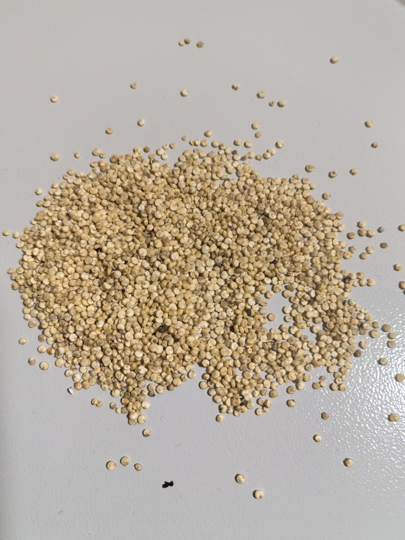 藜麦白藜麦,25公斤/50斤一袋,不含物流费