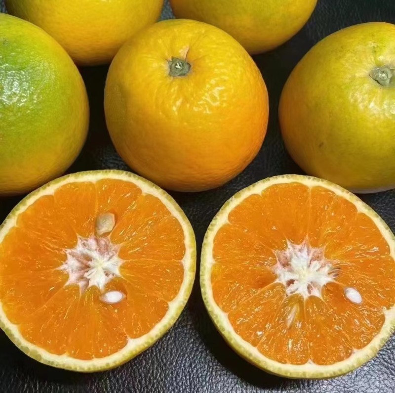 夏橙通货