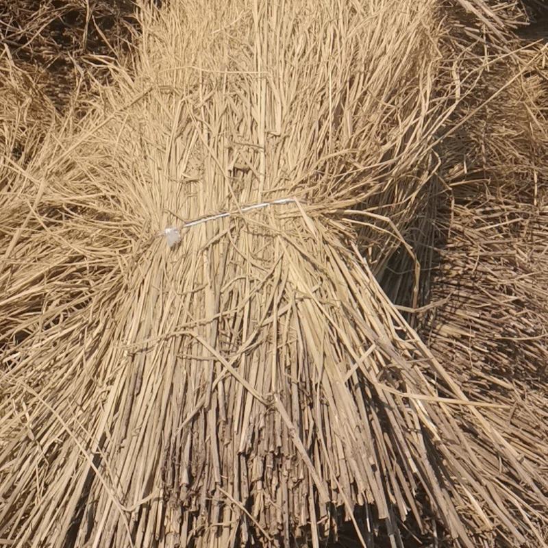 稻草治沙工程、酒厂、养殖场用稻草