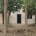 银杏树直径30-40公分15000元/棵，直径