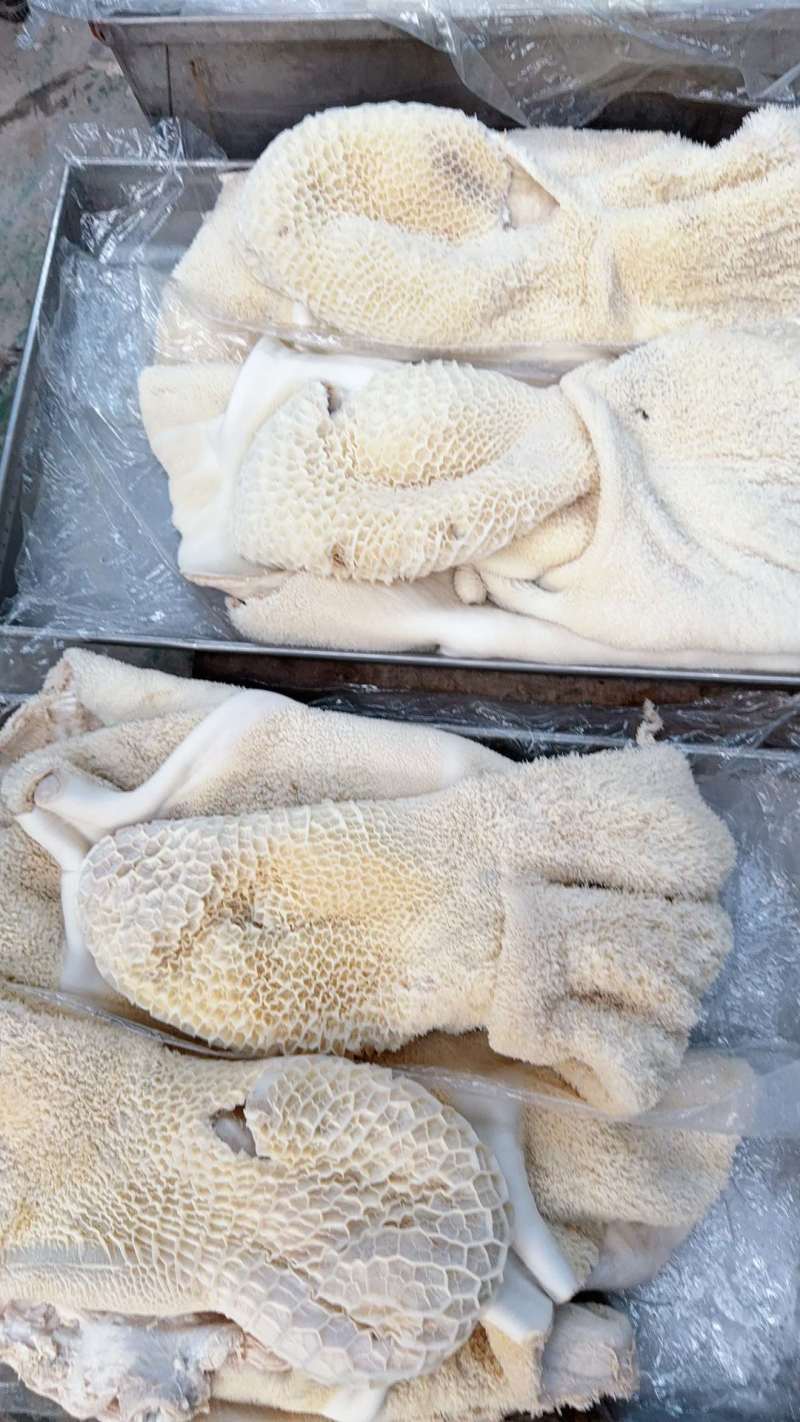 牛肚纯干货，整个牛肚带金钱肚，六分熟，一件50斤