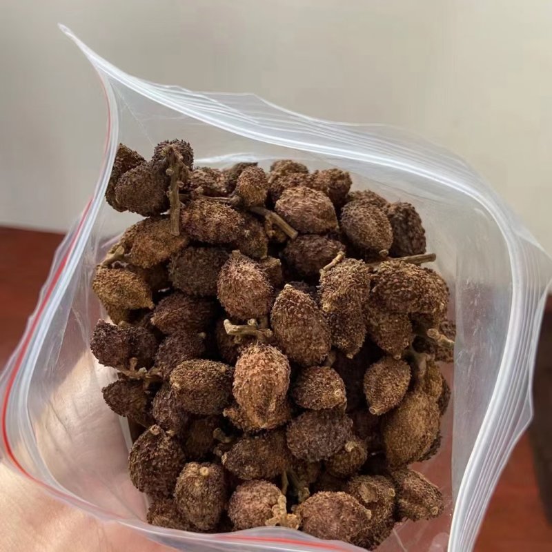 砂仁春砂仁干果
