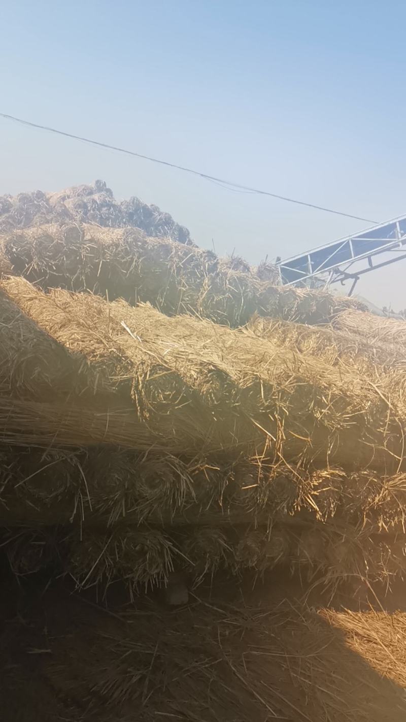 草苫子2米宽×20米长，每平方0.6斤