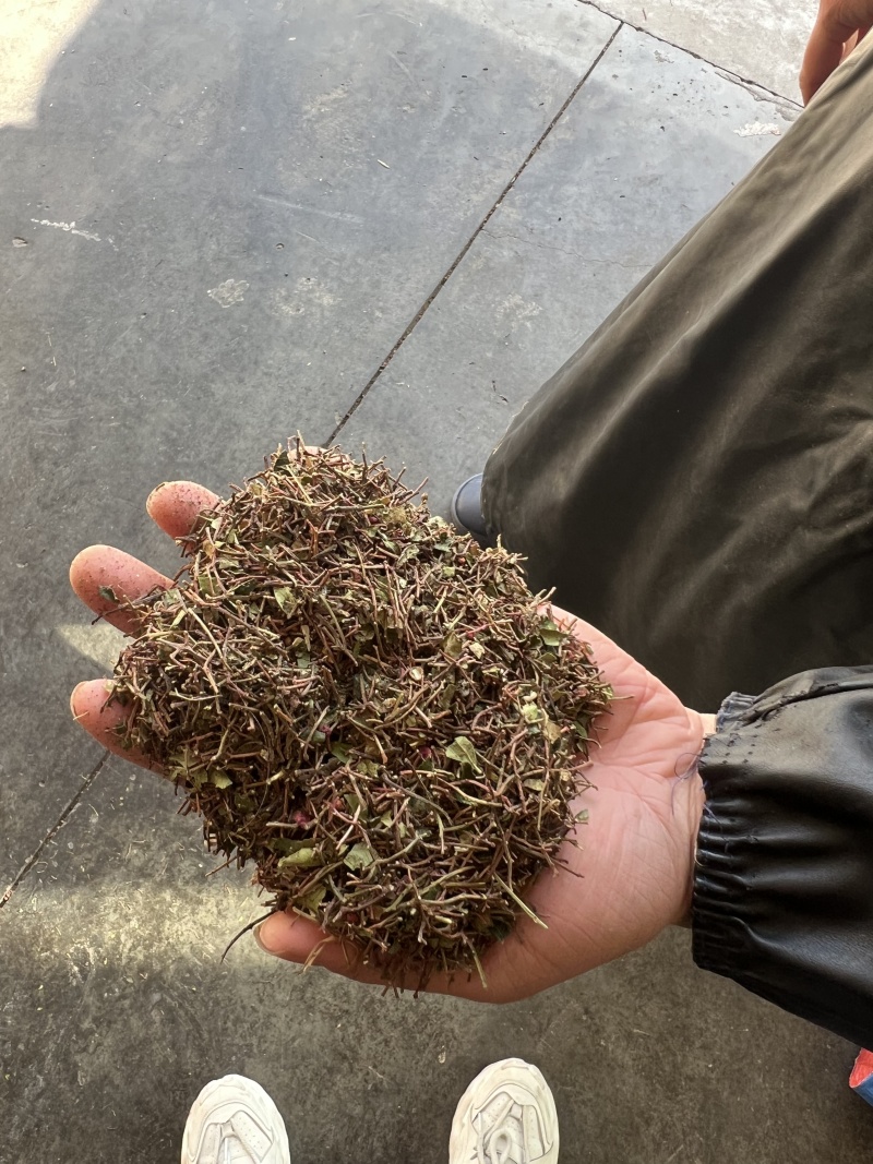 花椒杆通货