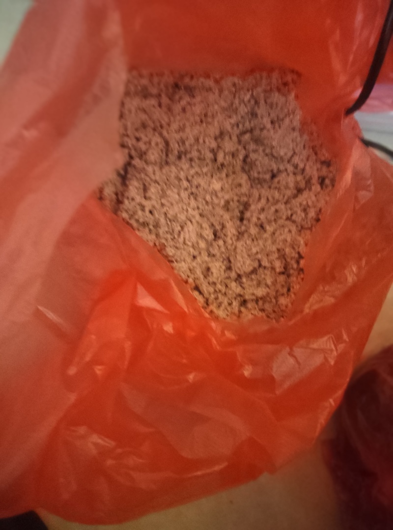 地龙整条/切段/粉末