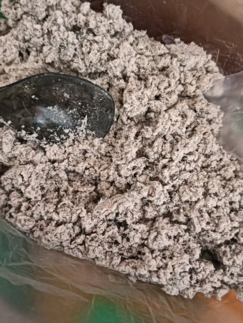 地龙整条/切段/粉末