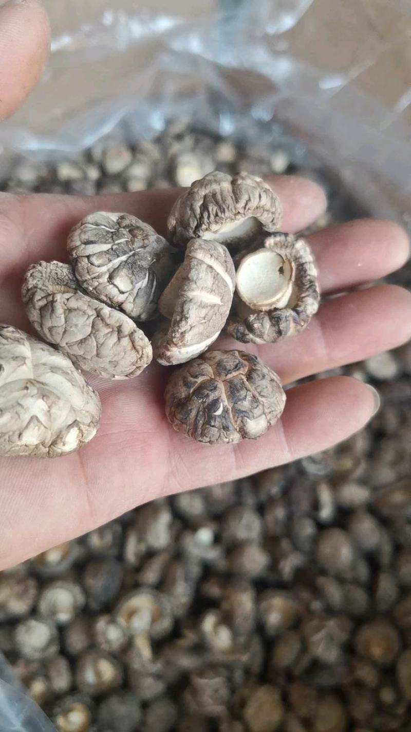 干香菇精选厚菇26元/斤，普通厚菇23元/斤，茶花菇28