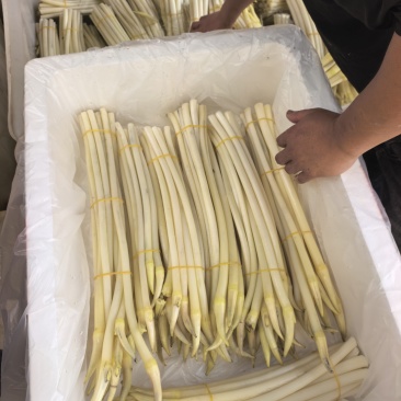 藕带A货12.5元/斤，B货9元/斤，C货7.5元/斤
