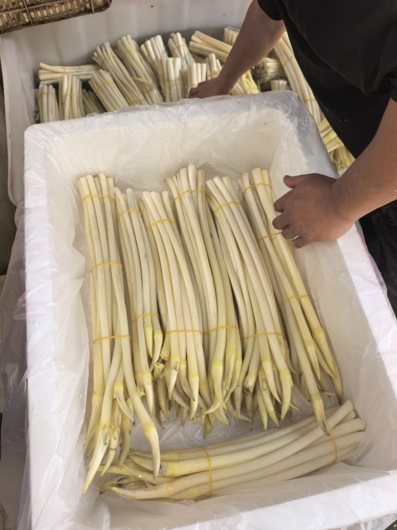 藕带A货12.5元/斤，B货9元/斤，C货7.5元/斤