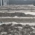 精品头茬白背木耳丝头茬白背木耳丝，无老梗
