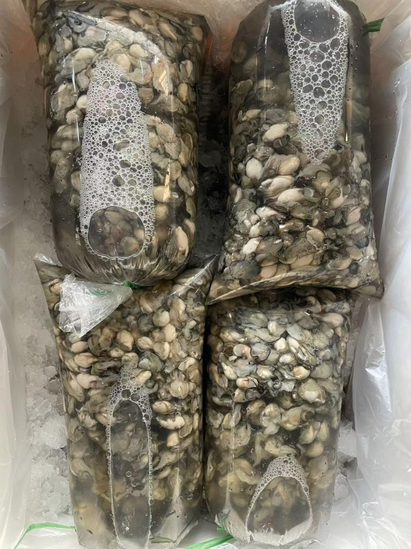 生蚝肉特大肉25个左右一斤13元，大肉35-40个一斤1