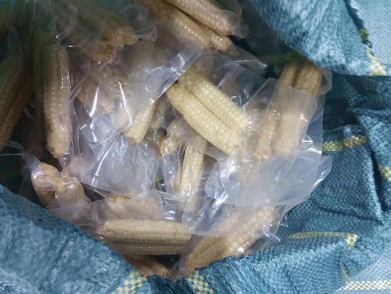 电话聊/西双版纳拇指玉米（亦疤霖洱柳流芭究汚榴刘）