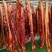 腊肉带皮腊肉