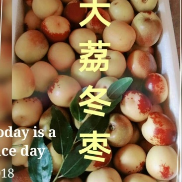 大荔冬枣