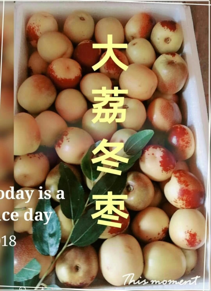 大荔冬枣
