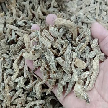 天麻小号60元/斤(1000斤以上55元)、中号80元/