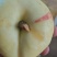36-3奶油白蟠桃套袋果，白肉奶油口感，纸箱装，每个套网