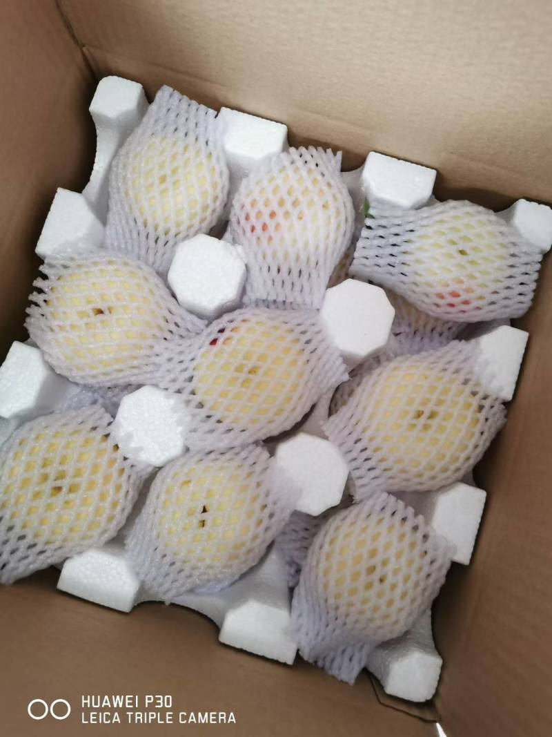 36-3奶油白蟠桃套袋果，白肉奶油口感，纸箱装，每个套网