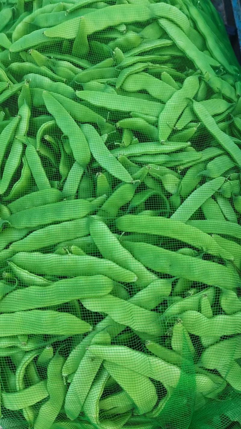 豆角